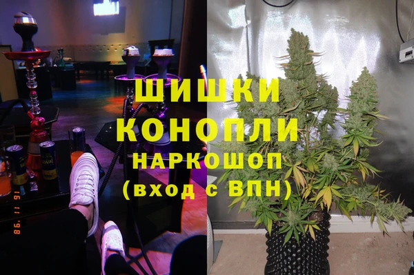 амф Алзамай