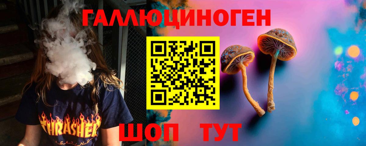 магазин    Галлюциногенные грибы GOLDEN TEACHER  Вход с VPN  Псилоцибиновые грибы Cubensis  Дальнереченск 